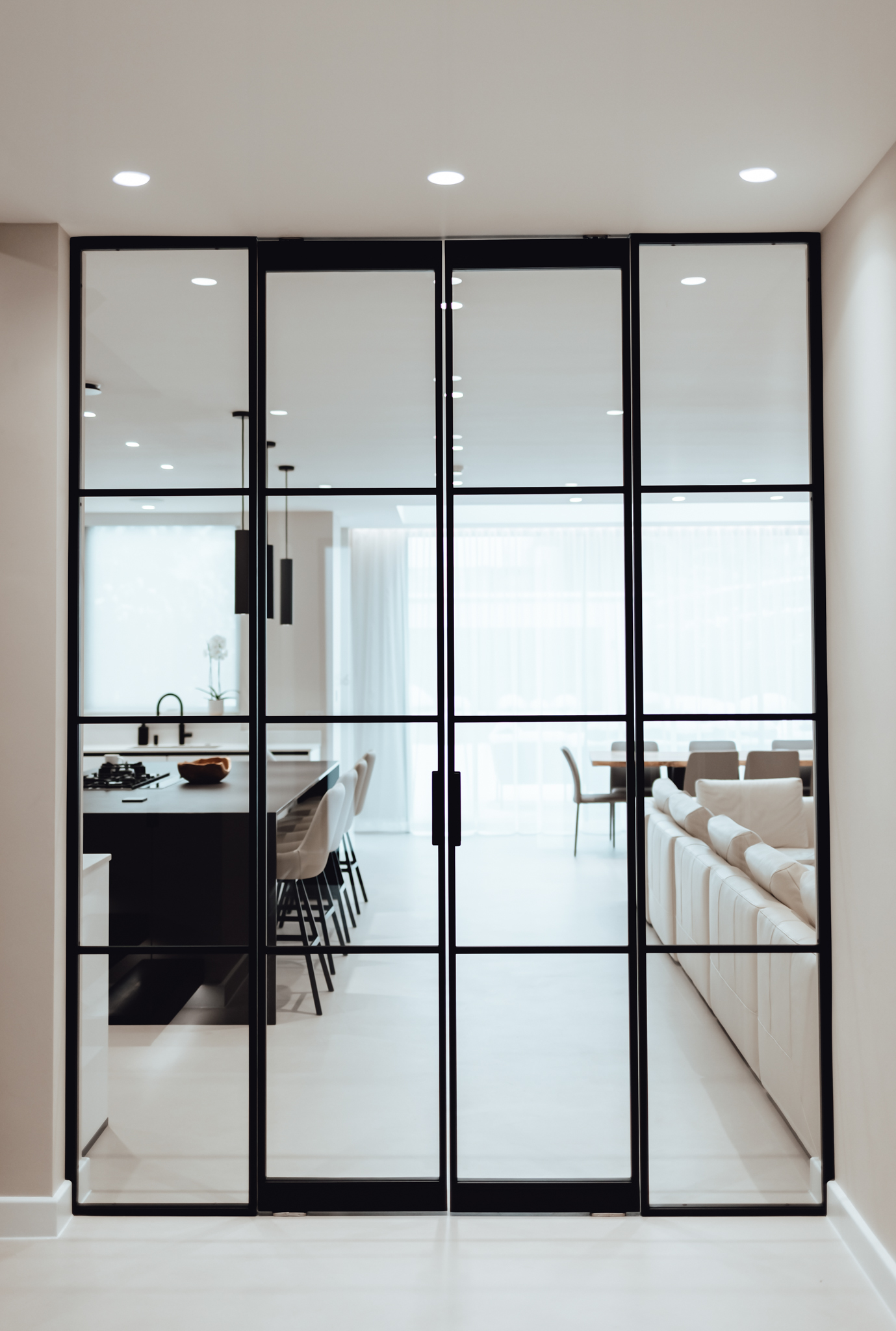 pivot door